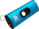 Streetwise Security mini stun gun with USB in blue color
