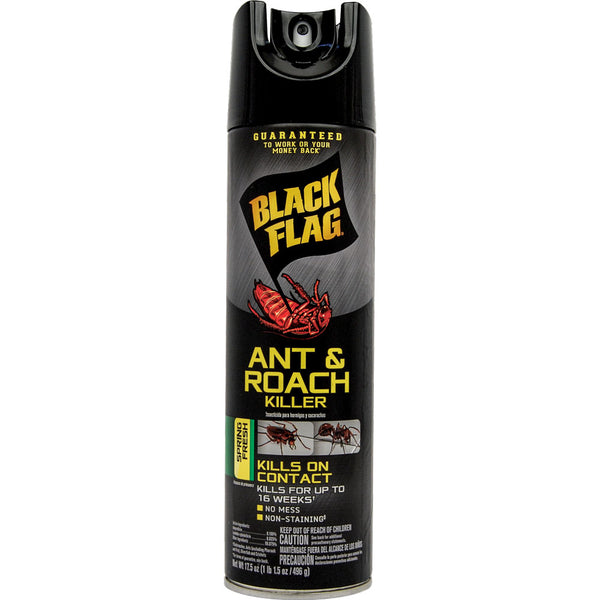 Black Flag ant and roach killer spray can with secret hidden compartment.