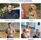 Mini Body Camera 1080P Police Body Camera 64GB