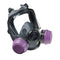 Honeywell 5400 Series Full Face-Piece Gas Mask