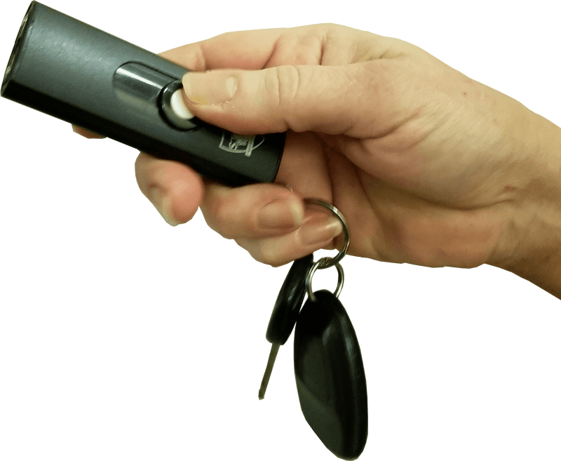 USB Black Secure Stun Gun with Black Key-Chain Purse Wallet